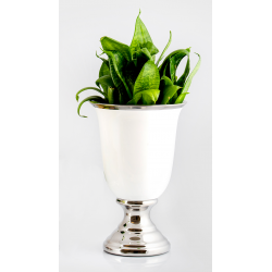 Vaza cu Picior Elegance